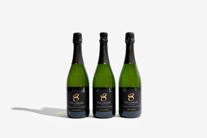 6-Pack | STELLARGIRL Sparkling, Blanc de Blancs